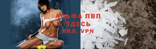 спиды Алексеевка