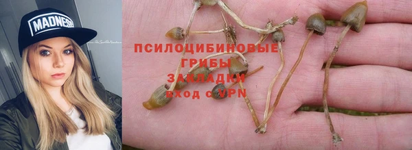 прущий лед Алексин