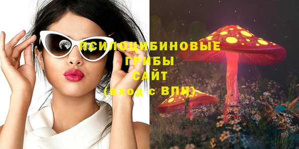 гидра Алзамай