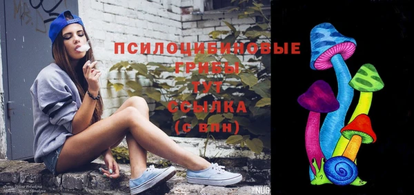 прущий лед Алексин