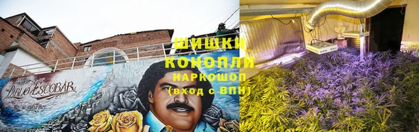 гидра Алзамай