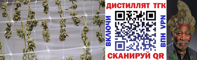 ТГК Wax  Шагонар 