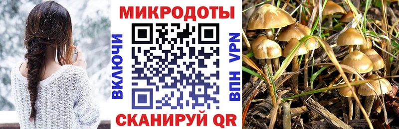 Псилоцибиновые грибы ЛСД  МЕГА   Шагонар  продажа наркотиков 